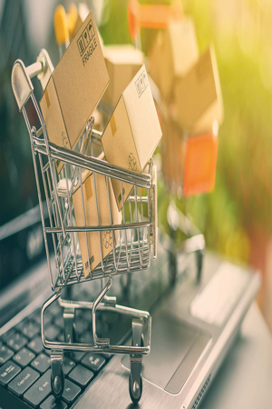 Ecommerce Service Provider in India